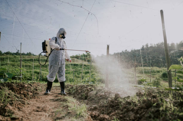 Best Best Pest Control Companies  in Shelbyville, KY