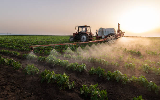 Best Pest Control for Businesses  in Shelbyville, KY