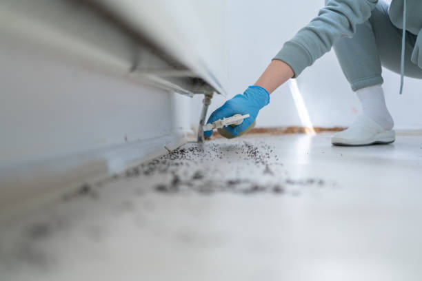 Best Emergency Pest Control  in Shelbyville, KY